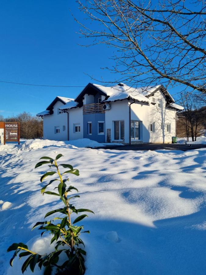 House Forest Queen Smoljanac Zewnętrze zdjęcie